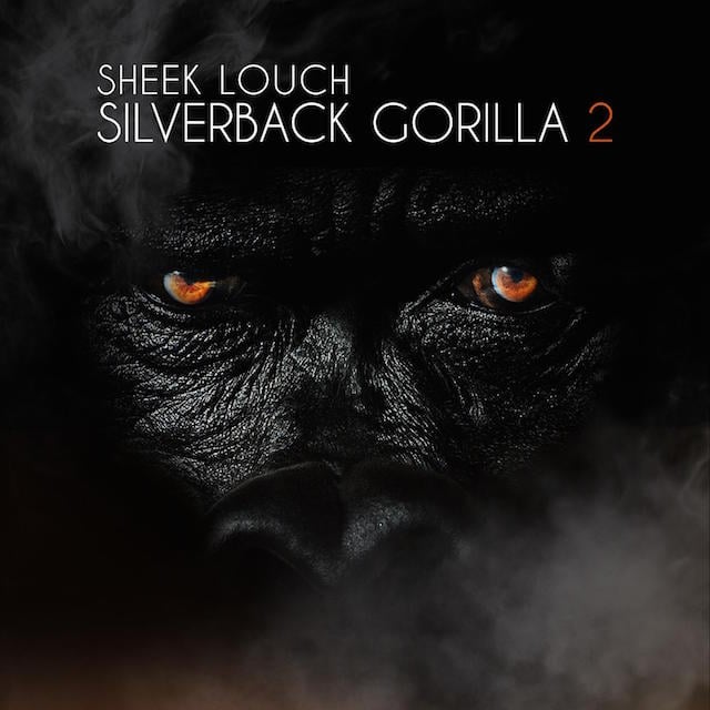 Sheek Louch Silverback Gorilla 2