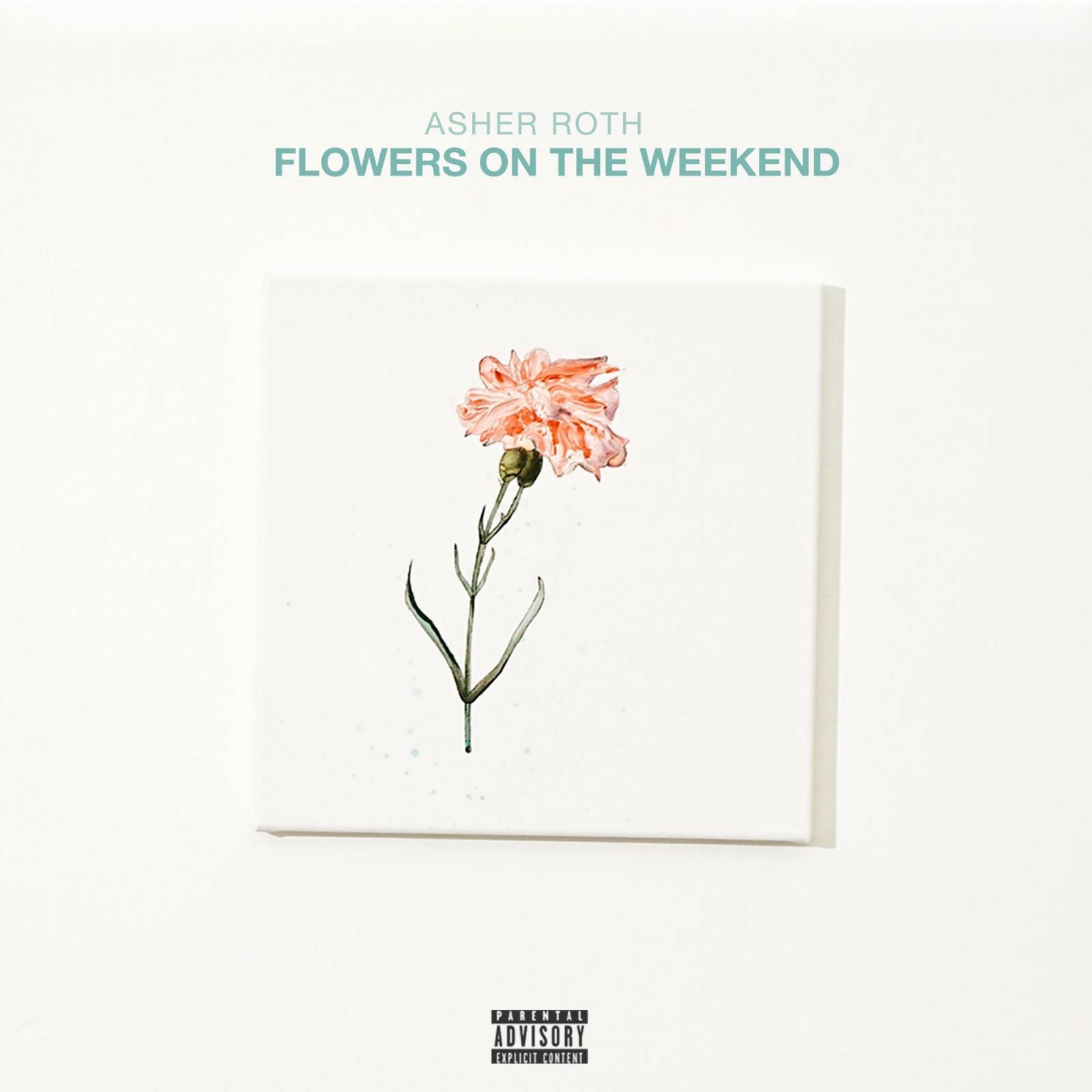 Asher Roth Returns With 'Flowers On The Weekend' Album