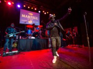 The Roots and Public Enemy perform at opening of national museum of african american history