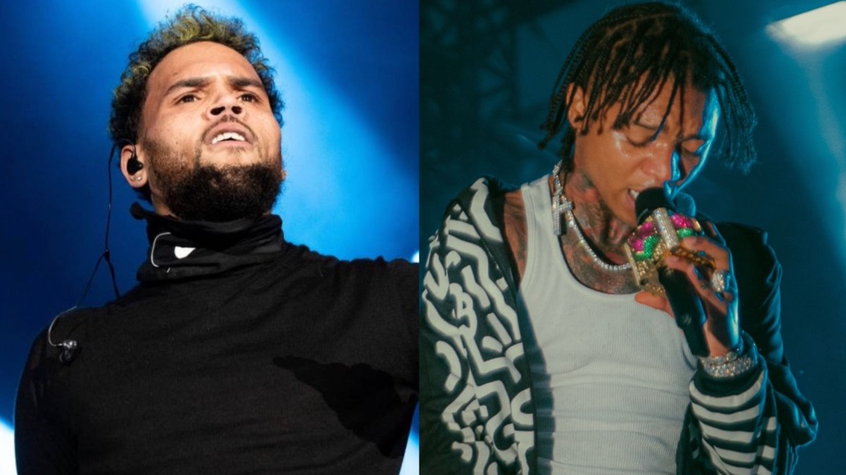 Chris Brown & Swae Lee's Monkey Dealer Loses License Following PETA Complaint