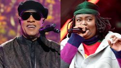 CHIKA Takes Zoom Meetings With Stevie Wonder — But Promises Video Is Just For Her