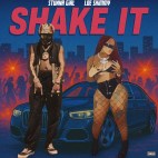 Stunna Girl (Feat. Loe Shimmy) - 'Shake It'